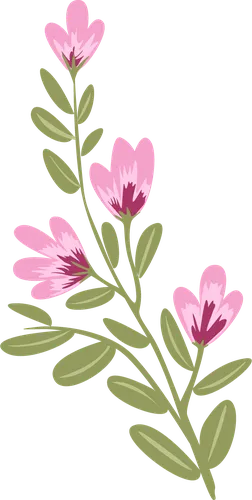 Color Palettes - Gray and Lightpink Color Scheme Color Palettes - Gray and Lightpink Color Scheme