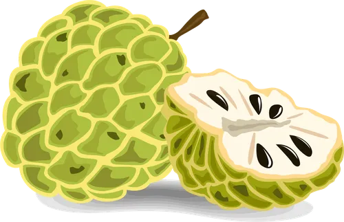 Color Palettes - Yellowgreen and Oldlace Color Scheme