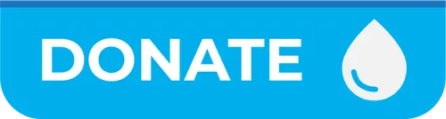 Color Palettes - Deepskyblue and White Color Scheme