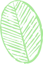 Color Palettes - Palegreen Color Scheme Color Palettes - Palegreen Color Scheme