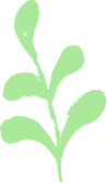 Color Palettes - Palegreen Color Scheme Color Palettes - Palegreen Color Scheme