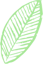 Color Palettes - Palegreen Color Scheme Color Palettes - Palegreen Color Scheme