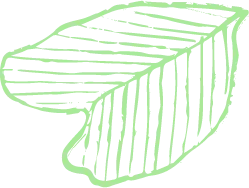Color Palettes - Palegreen Color Scheme Color Palettes - Palegreen Color Scheme