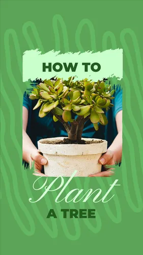 Color Palettes - Mediumseagreen and Gainsboro Color Scheme