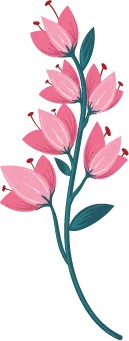 Color Palettes - Palevioletred and Darkslategray Color Scheme Color Palettes - Palevioletred and Darkslategray Color Scheme