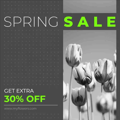 Color Palettes - Darkslategray and Darkgray Color Scheme