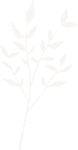 Color Palettes - Whitesmoke Color Scheme Color Palettes - Whitesmoke Color Scheme