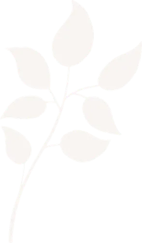 Color Palettes - Whitesmoke Color Scheme Color Palettes - Whitesmoke Color Scheme