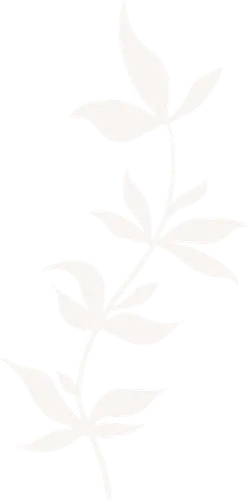 Color Palettes - Whitesmoke Color Scheme Color Palettes - Whitesmoke Color Scheme