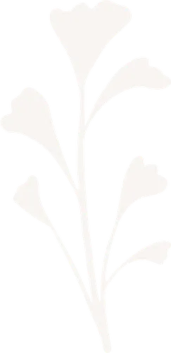 Color Palettes - Whitesmoke Color Scheme Color Palettes - Whitesmoke Color Scheme