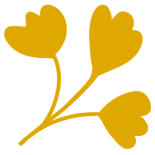 Color Palettes - Orange Color Scheme Color Palettes - Orange Color Scheme