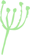 Color Palettes - Palegreen Color Scheme Color Palettes - Palegreen Color Scheme