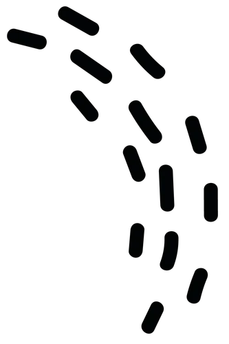Color Palettes - Black Color Scheme Color Palettes - Black Color Scheme
