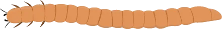 Color Palettes - Sandybrown and Black Color Scheme Color Palettes - Sandybrown and Black Color Scheme