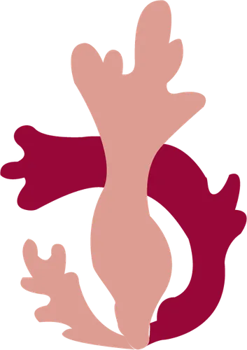 Color Palettes - Tan and Brown Color Scheme