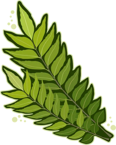 Color Palettes - Darkgreen and Olivedrab Color Scheme Color Palettes - Darkgreen and Olivedrab Color Scheme