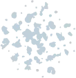Color Palettes - Lightgray Color Scheme Color Palettes - Lightgray Color Scheme