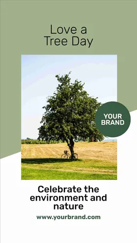 Color Palettes - White and Darkseagreen Color Scheme