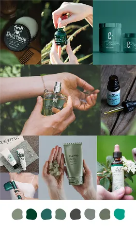 Color Palettes - Darkslategray and White Color Scheme