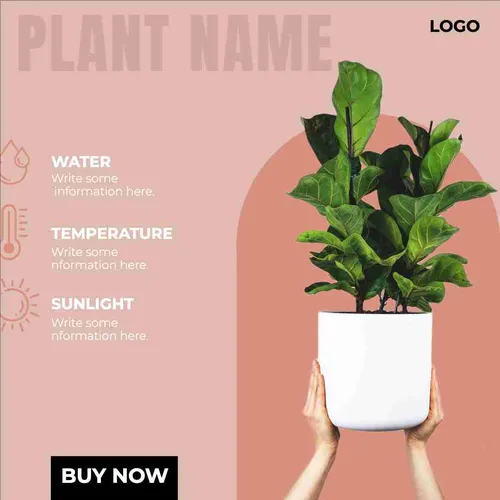 Color Palettes - Lightpink and Darkolivegreen Color Scheme Color Palettes - Lightpink and Darkolivegreen Color Scheme