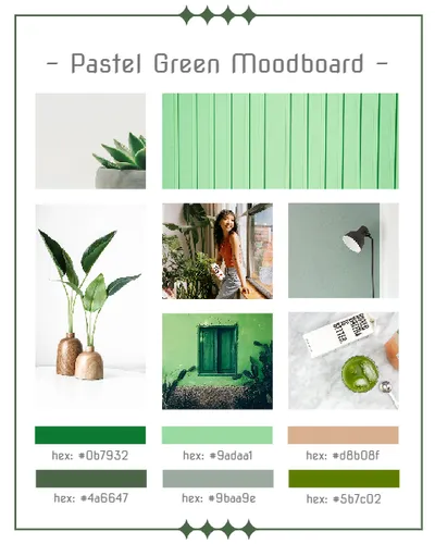 Color Palettes - White and Darkolivegreen Color Scheme
