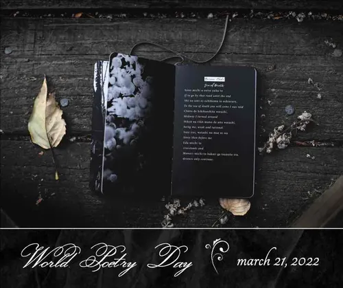 Color Palettes - Black and Dimgray Color Scheme