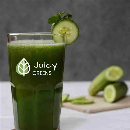 Color Palettes - Darkslategray and Lightgray Color Scheme