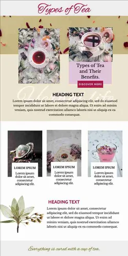 Color Palettes - White and Tan Color Scheme