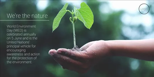 Color Palettes - Darkslategray and White Color Scheme