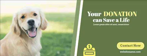 Color Palettes - Darkolivegreen and Floralwhite Color Scheme Color Palettes - Darkolivegreen and Floralwhite Color Scheme