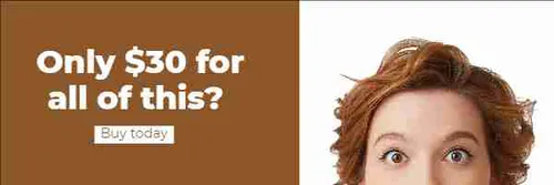 Color Palettes - Sienna and White Color Scheme