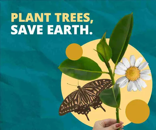 Color Palettes - Teal and Khaki Color Scheme