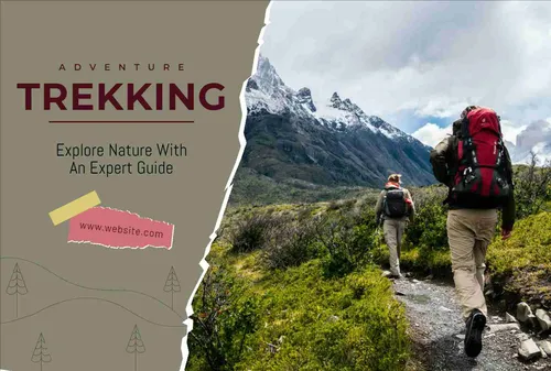 Color Palettes - Gray and Gainsboro Color Scheme