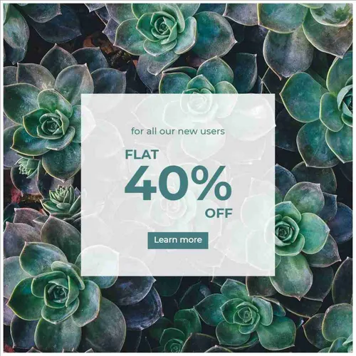 Color Palettes - Black and Gainsboro Color Scheme