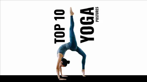 Color Palettes - White and Black Color Scheme