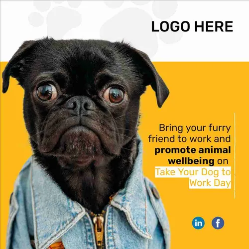 Color Palettes - Orange and White Color Scheme