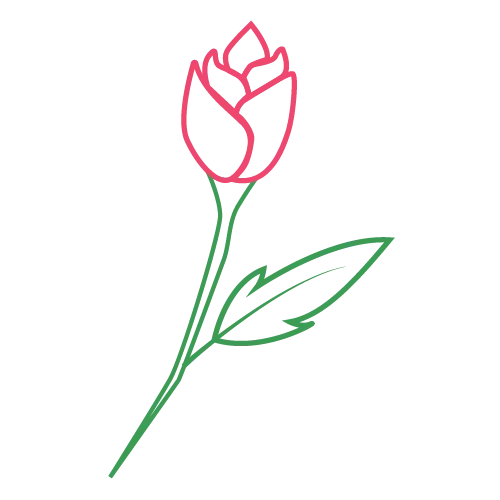 Color Palettes - Seagreen and Indianred Color Scheme