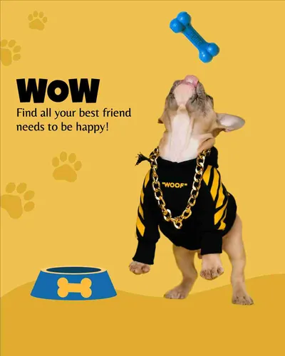 Color Palettes - Sandybrown and Black Color Scheme