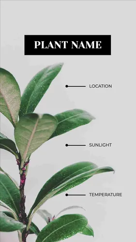 Color Palettes - Gainsboro and Darkslategray Color Scheme Color Palettes - Gainsboro and Darkslategray Color Scheme