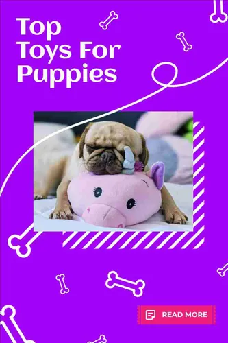 Color Palettes - Darkviolet and Lavender Color Scheme Color Palettes - Darkviolet and Lavender Color Scheme