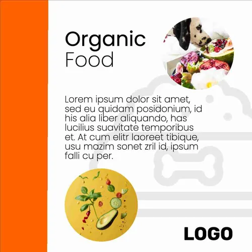 Color Palettes - White and Orangered Color Scheme Color Palettes - White and Orangered Color Scheme
