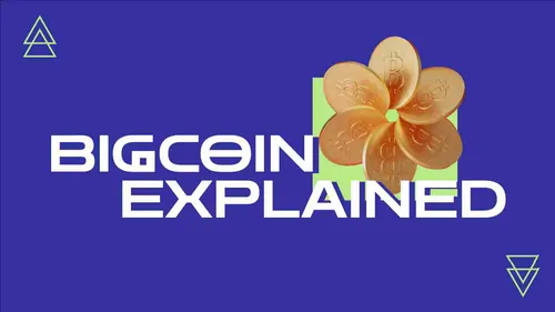 Color Palettes - Darkslateblue and Peru Color Scheme