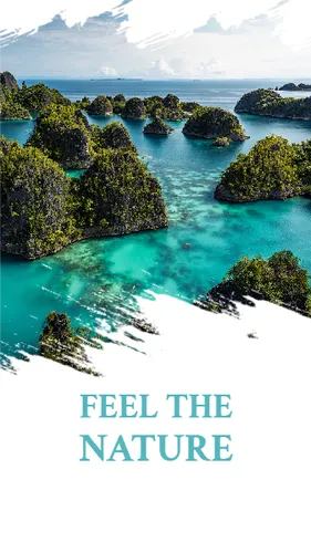 Color Palettes - White and Mediumturquoise Color Scheme