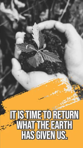 Color Palettes - Darkslategray and Sandybrown Color Scheme