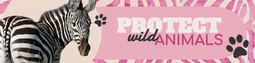 Color Palettes - Lightpink and Black Color Scheme Color Palettes - Lightpink and Black Color Scheme