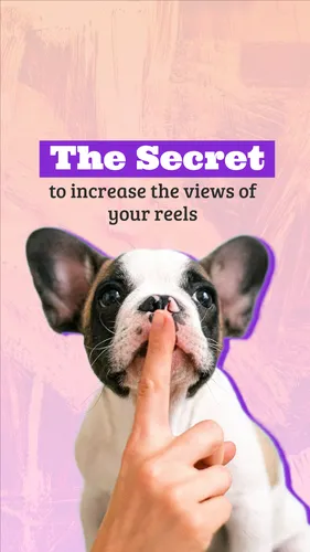 Color Palettes - White and Tan Color Scheme