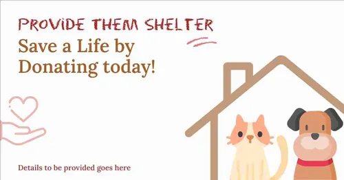 Color Palettes - White and Rosybrown Color Scheme