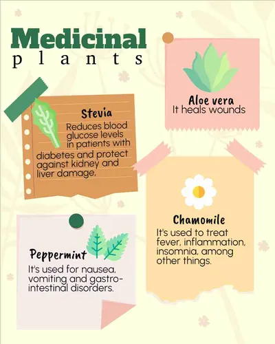 Color Palettes - Lightyellow and Sandybrown Color Scheme