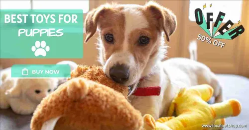 Color Palettes - Darkkhaki and White Color Scheme Color Palettes - Darkkhaki and White Color Scheme