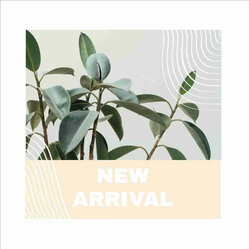 Color Palettes - White and Darkslategray Color Scheme Color Palettes - White and Darkslategray Color Scheme